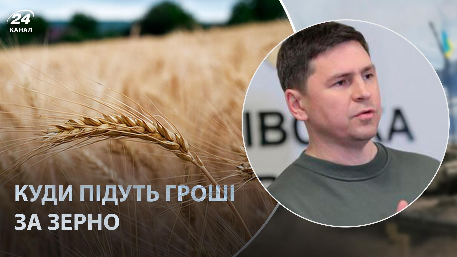 Купівля зброї та ремонт доріг: Подоляк пояснив, куди мають піти гроші з продажу зерна