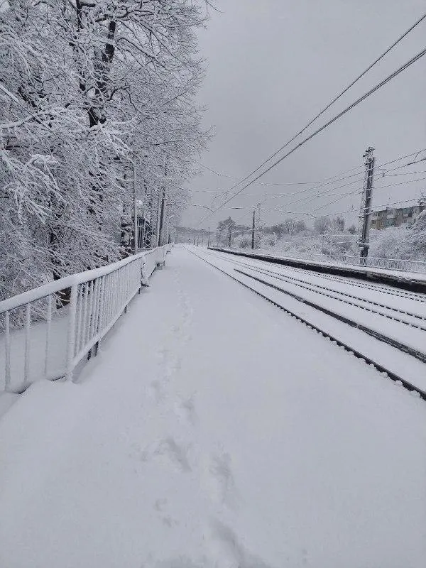 эвакуация эвакуация