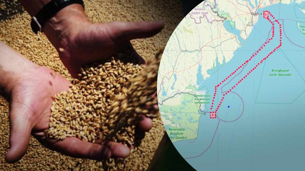 Як будуть вивозити зерно з України через Чорне море - карта шляху