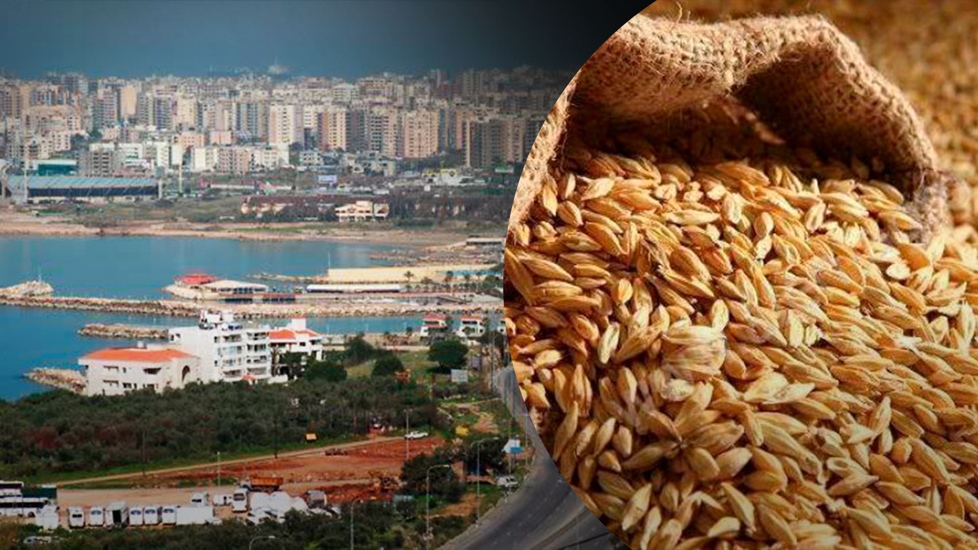 Судно з краденим українським зерном помітили у Триполі, Ліван - що відомо