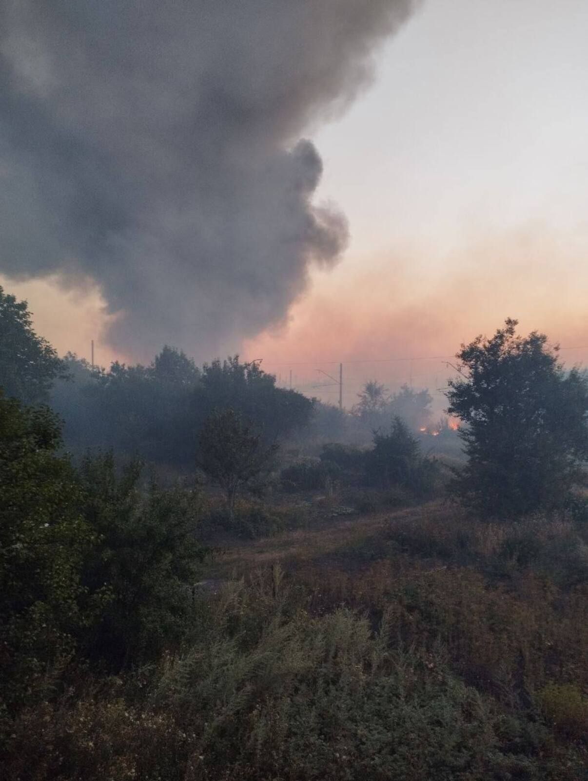 "Селитра" в Иловайске "Селитра" в Иловайске