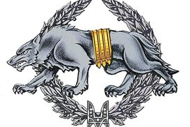 Что вурдалаки ССО носят за золотым поясом на эмблеме