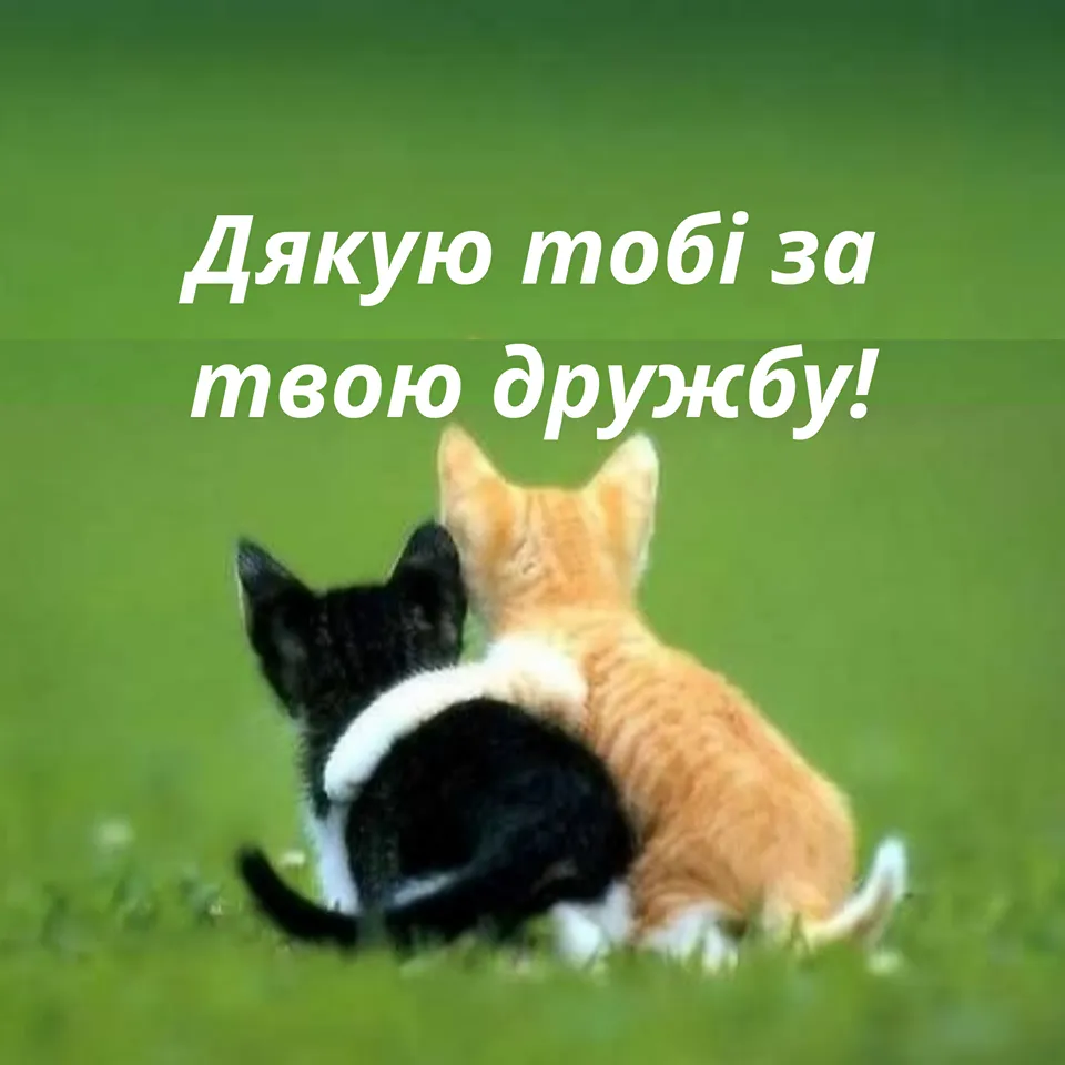 Картинки-поздравления с Международным днем дружбы Картинки-поздравления с Международным днем дружбы