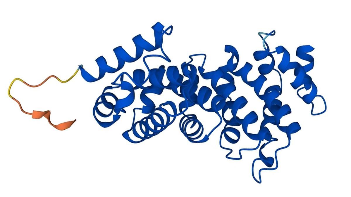 AlphaFold визначив структуру майже кожного білка, відомого науці - Техно
