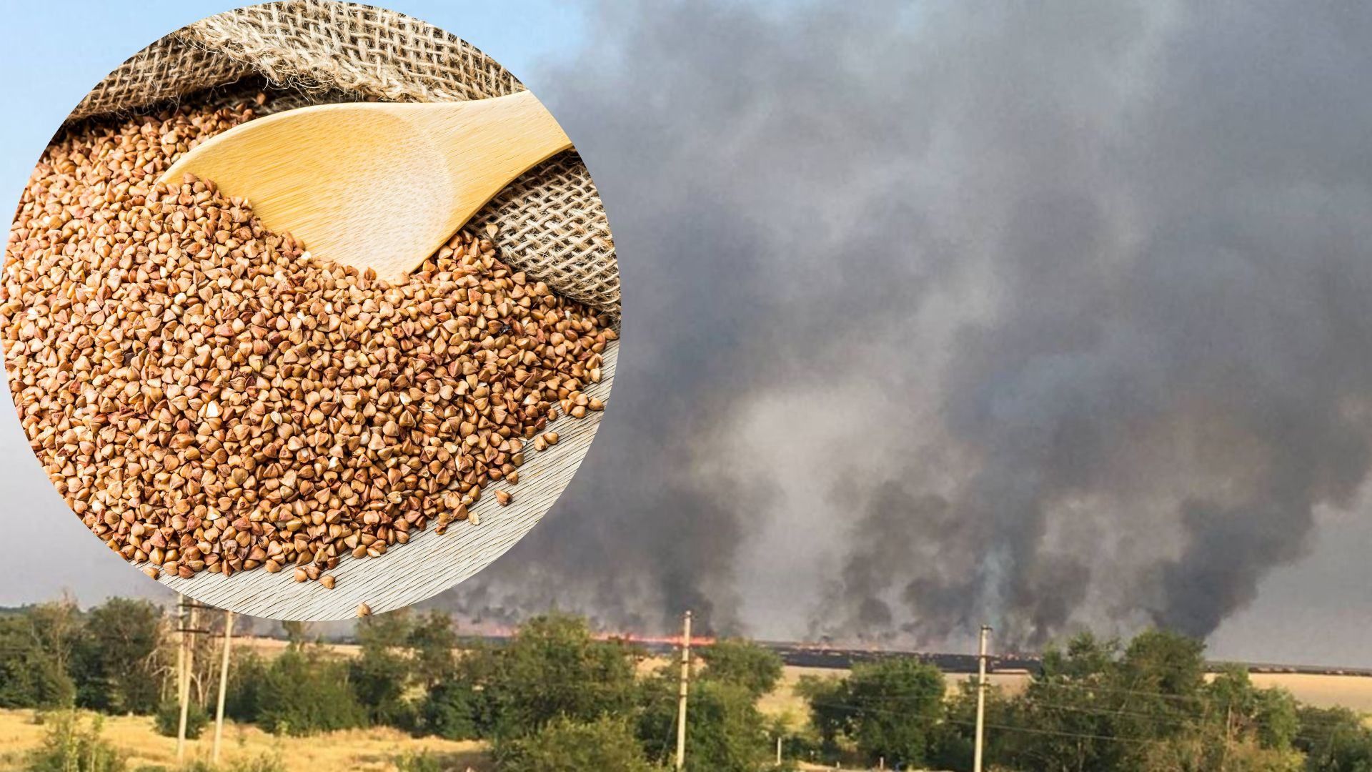 Возле Мариуполя подожгли поля с зерном, чтобы не досталось оккупантам