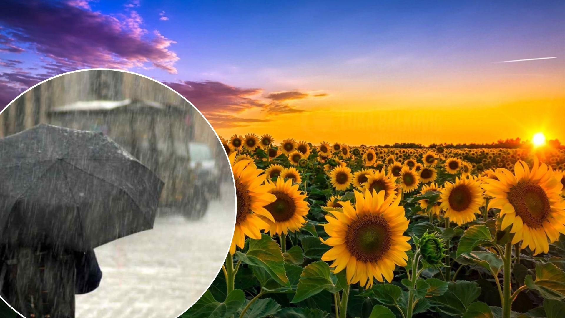 Прогноз погоди на перший тиждень серпня в Україні - що кажуть синоптики