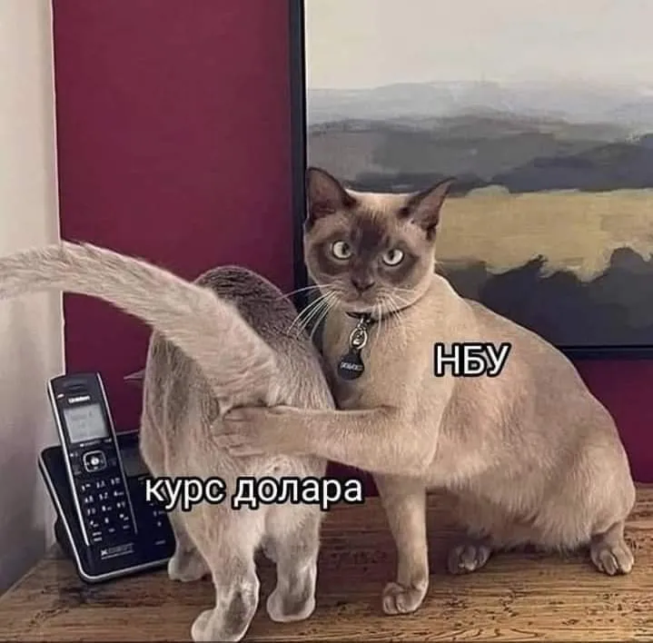 Мемы о курсе валют Мемы о курсе валют
