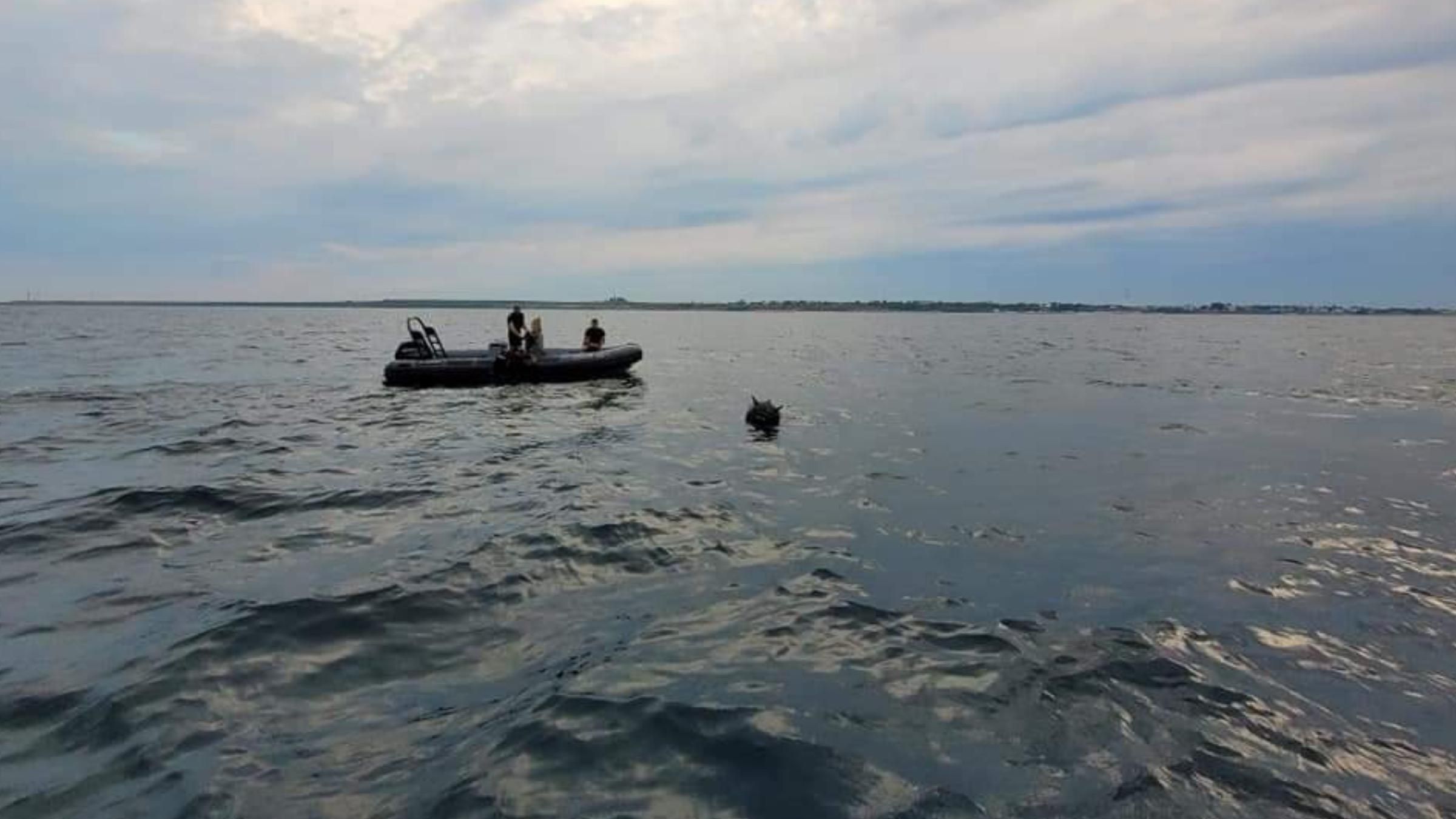 У побережья Румынии военные водолазы обезвредили морскую мину