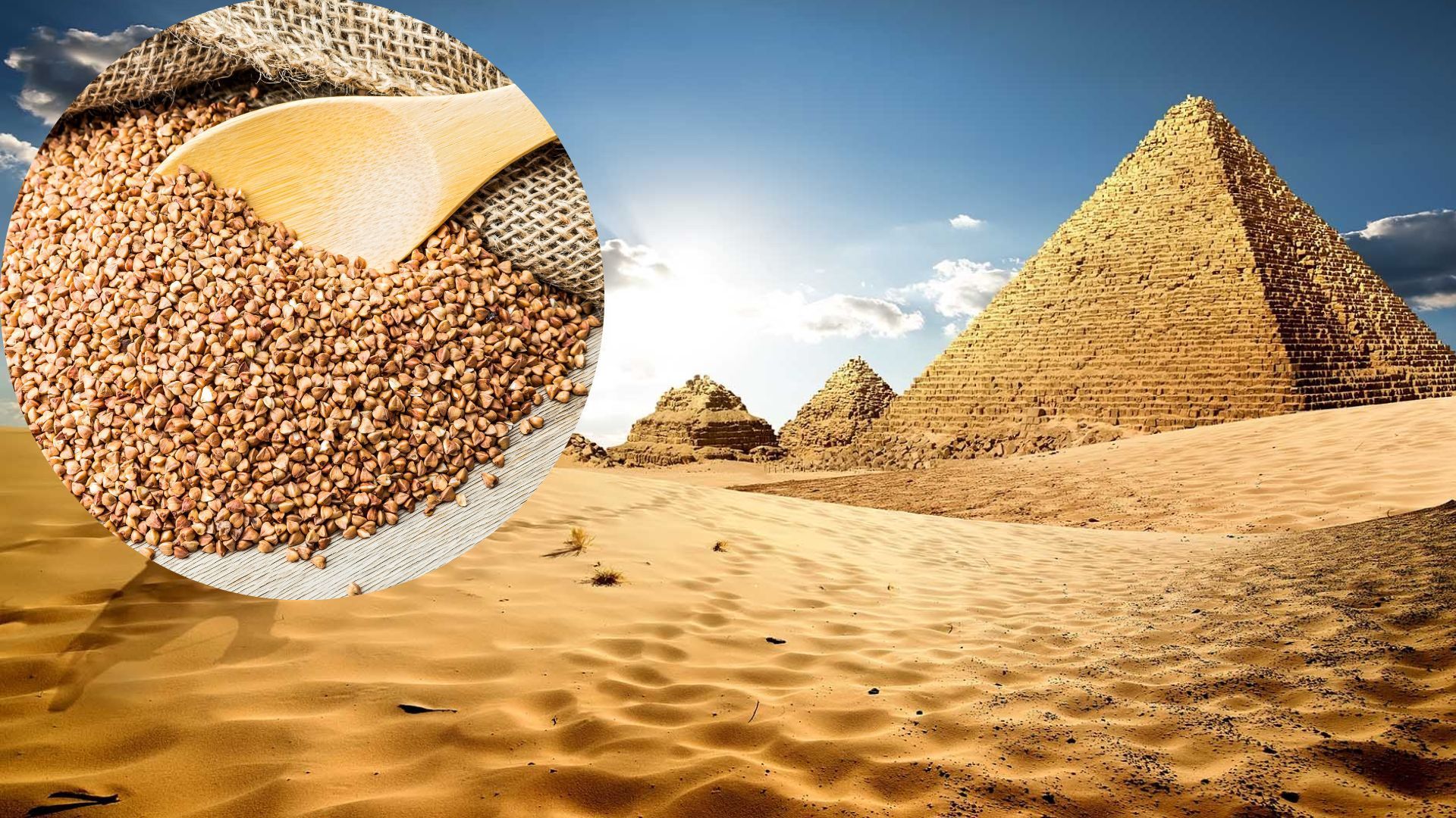 Єгипет укладе новий контракт на купівлю українського зерна
