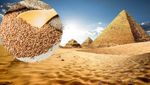 Єгипет не відмовився від українського зерна: що сталося насправді