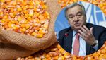 В ООН відреагували на відновлення експорту зерна з України