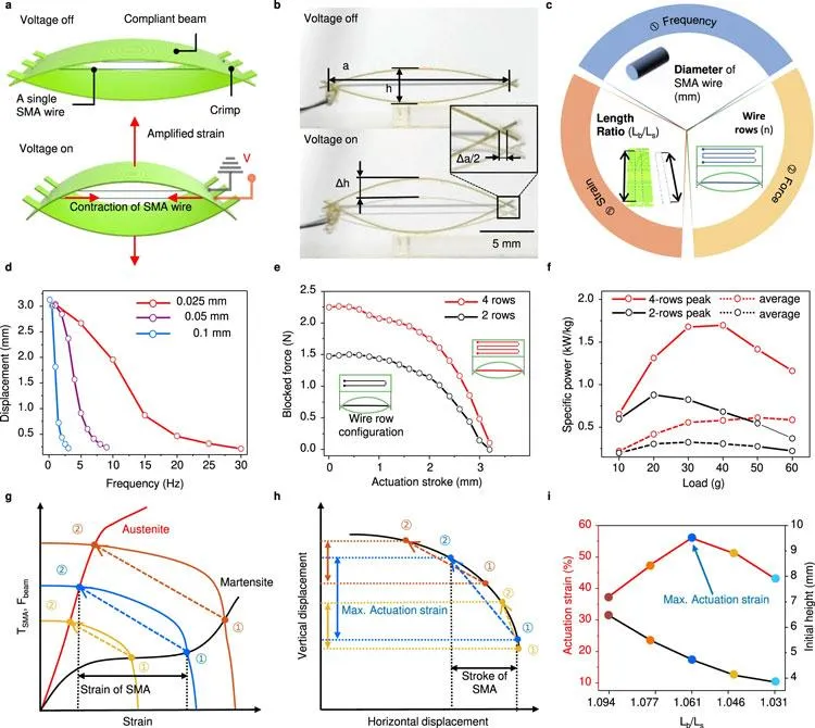 Штучний м'яз Штучний м'яз