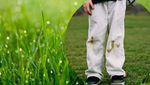 Зелень не страшна: як легко вивести плями від трави