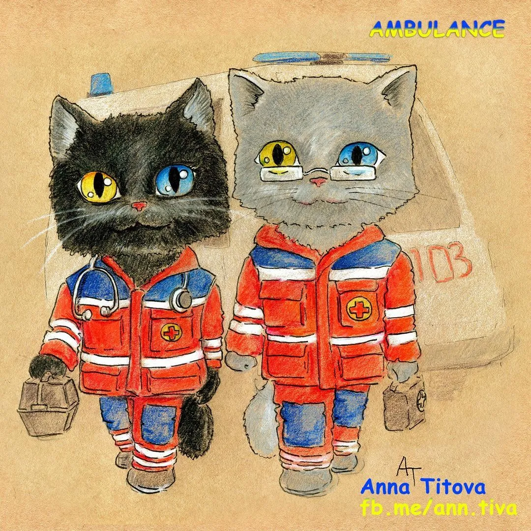 картинки с днем кота картинки с днем кота