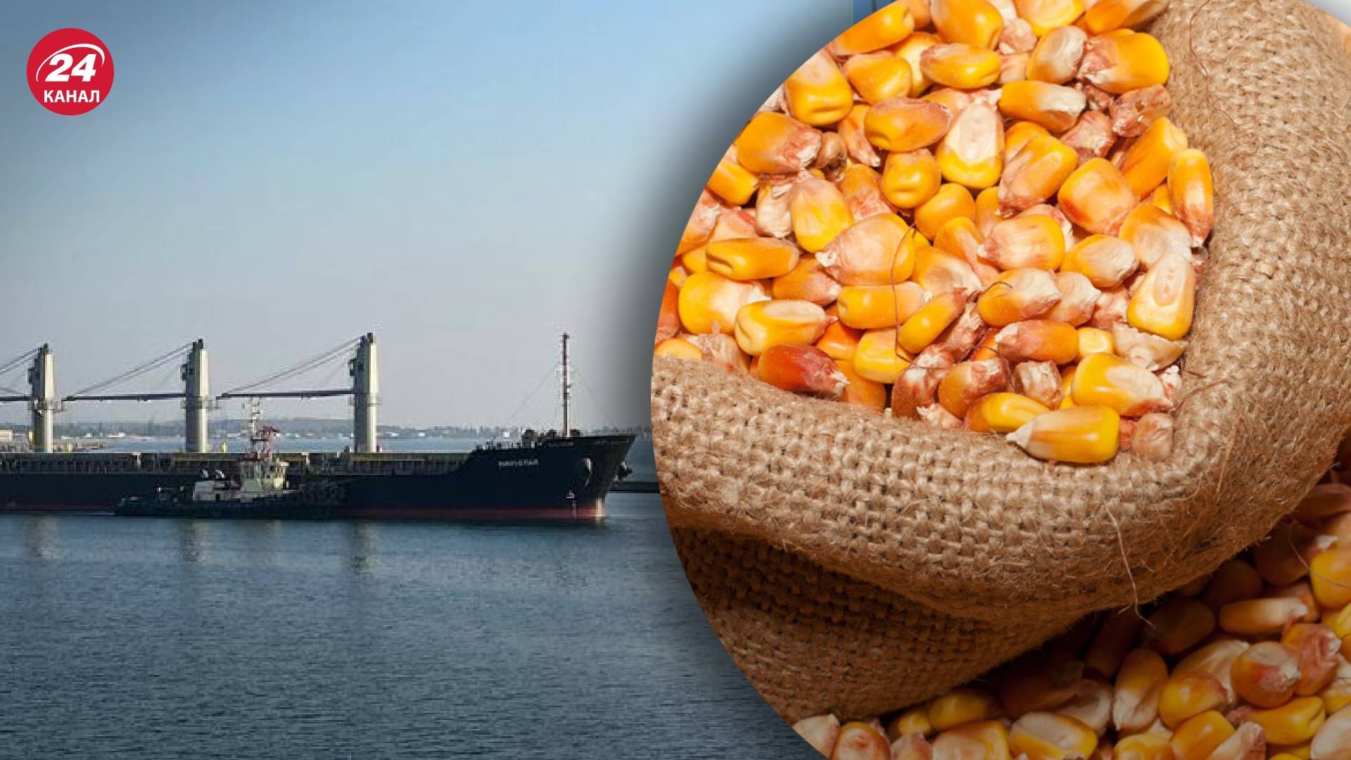 Експорт зерна з України - до Стамбула прибув корабель NAVISTAR 