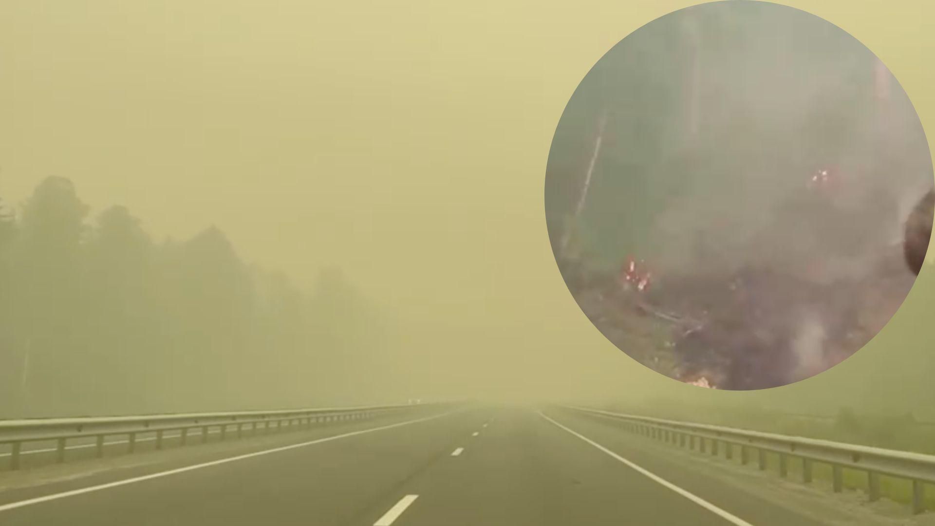 В России продолжают палаты леса В России продолжают палаты леса