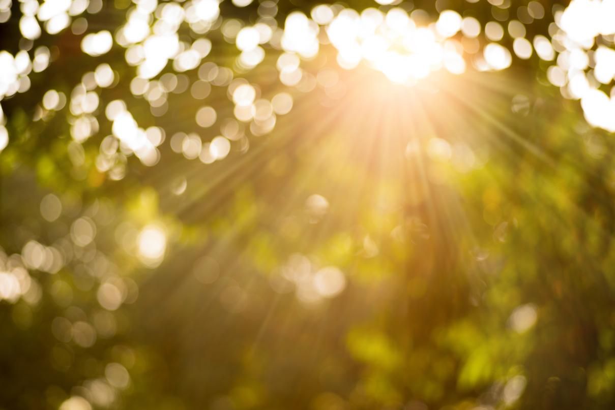 Прогноз погоди на тиждень 8 – 14 серпня - де в Україні буде аномальна спека Прогноз погоди на тиждень 8 – 14 серпня - де в Україні буде аномальна спека