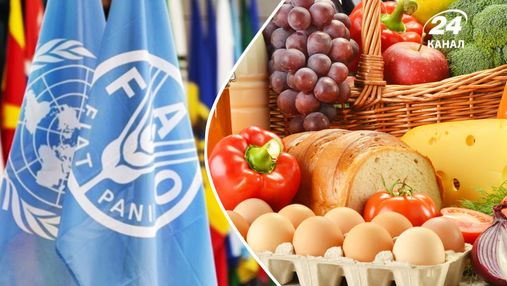 Ціни на продовольство у світі падають п'ятий місяць поспіль: що подешевшало найбільше