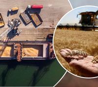 Існує ризик, що українцям бракне місця для зберігання зерна, – президент зернової асоціації