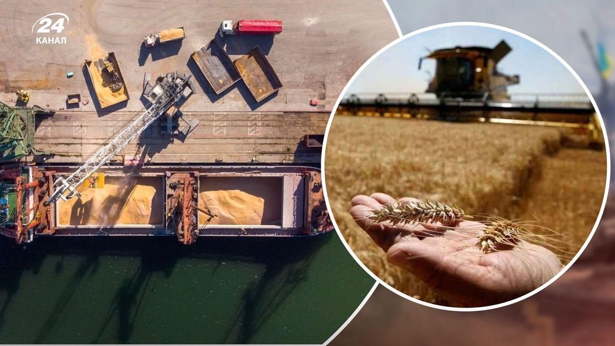 Ризик, що українцям бракне місця для зберігання зерна, – президент зернової асоціації 