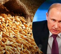 "Мир может обойтись без Украины": президент зерновой ассоциации ответил на заявления путина
