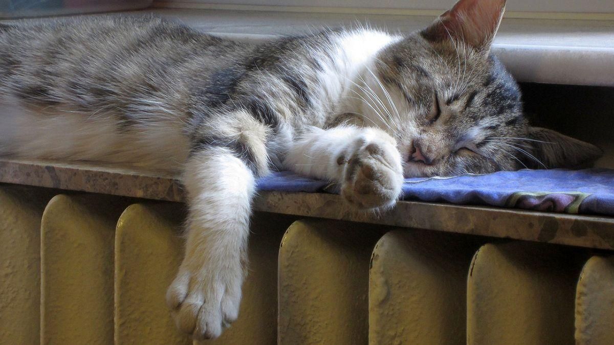 Опалюваний сезон 2022 – 2023 – українцям дали поради, як його пережити Опалюваний сезон 2022 – 2023 – українцям дали поради, як його пережити