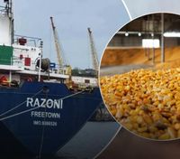 Покупатель отказался принять украинское зерно, прибывшее на судне RAZONI в Ливан