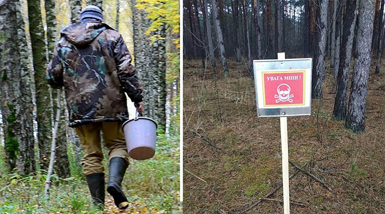 На Волині попередили про замінування лісів На Волині попередили про замінування лісів