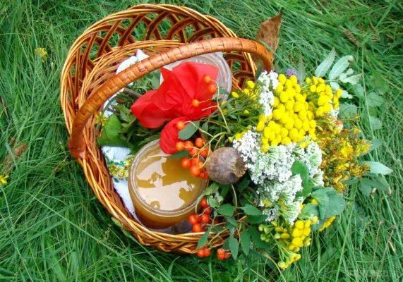 медового спаса медового спаса