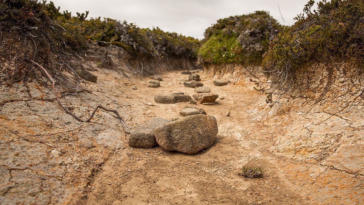 З американського озера зникає вода, відкриваючи людям вже четверті людські останки - Техно З американського озера зникає вода, відкриваючи людям вже четверті людські останки - Техно