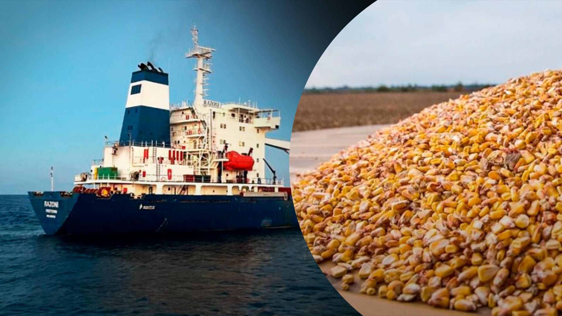 Судно Razoni с украинским зерном прибыло в порт Турции – что известно