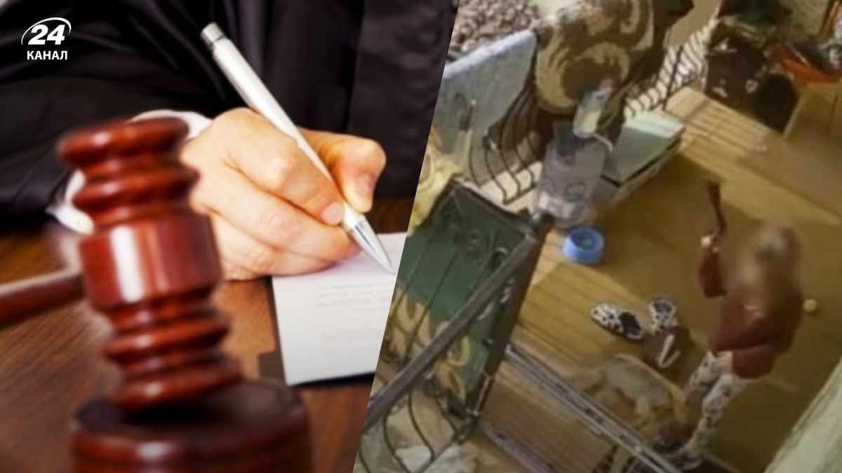 Суд закрив справу проти матері-грумерки Суд закрив справу проти матері-грумерки