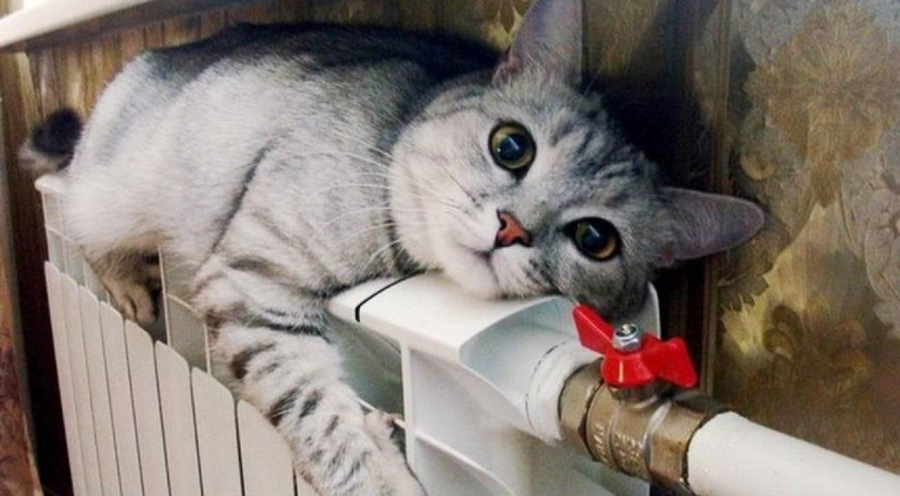 Як пережити зиму без опалення Як пережити зиму без опалення