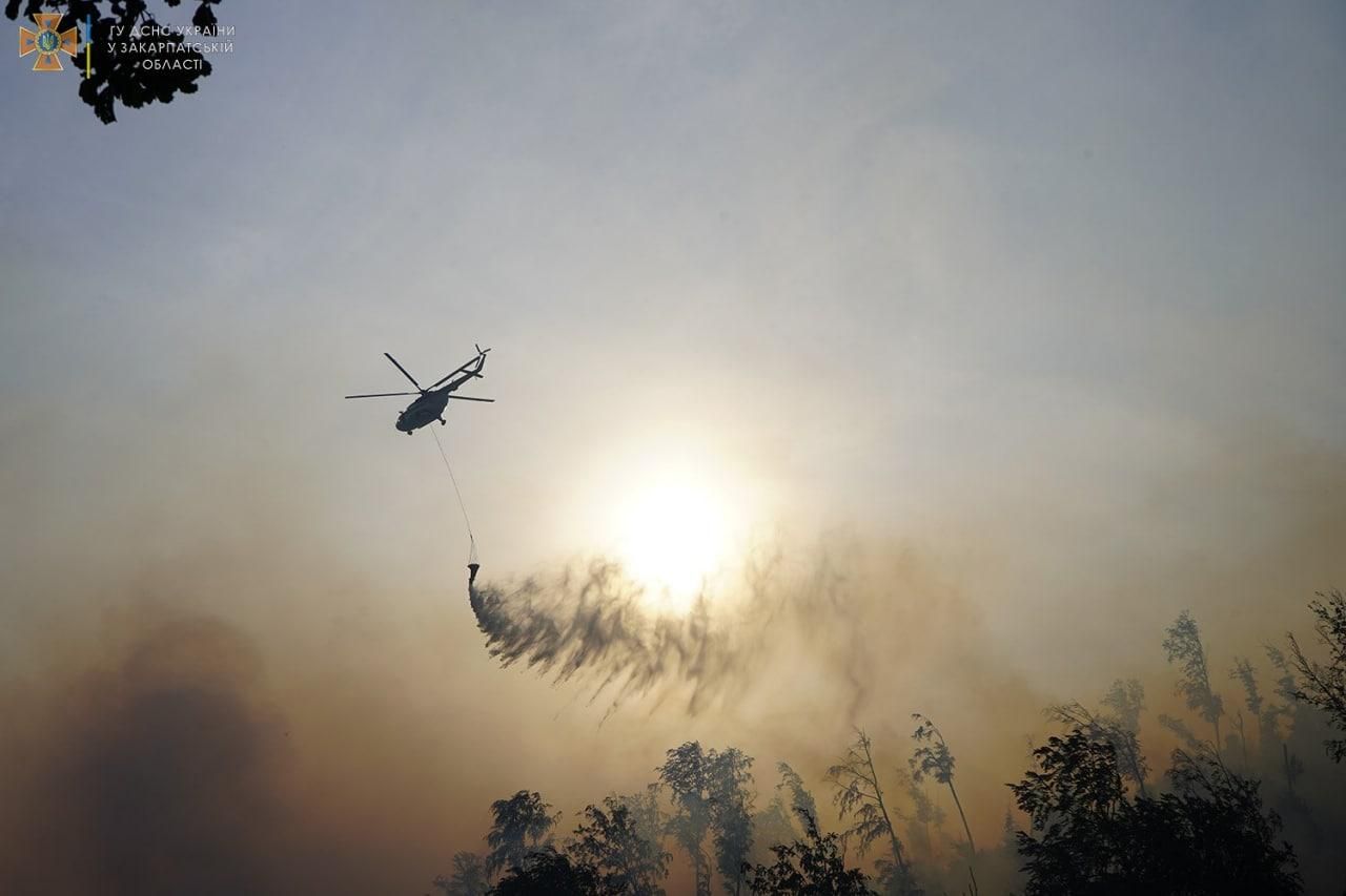  Масштабный лесной пожар в Закарпатье