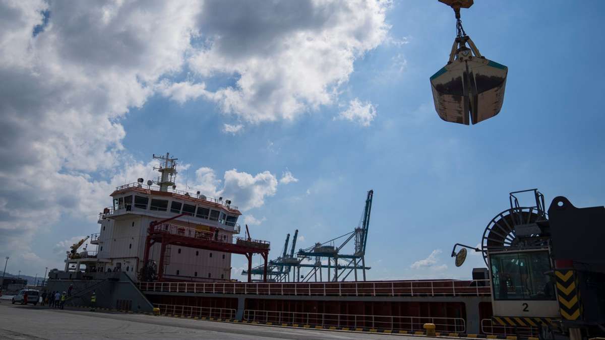 До Італії 13.08.2022 прибуло судно з українським зерном – що було всередині До Італії 13.08.2022 прибуло судно з українським зерном – що було всередині