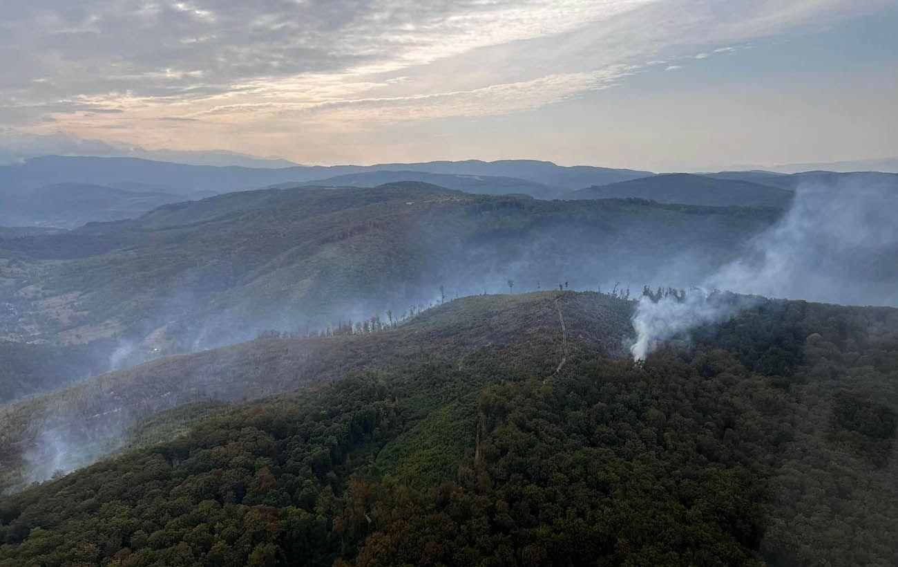 На горі Савчин на Закарпатті спалахнула пожежа – 13.08.2022 її ліквідували