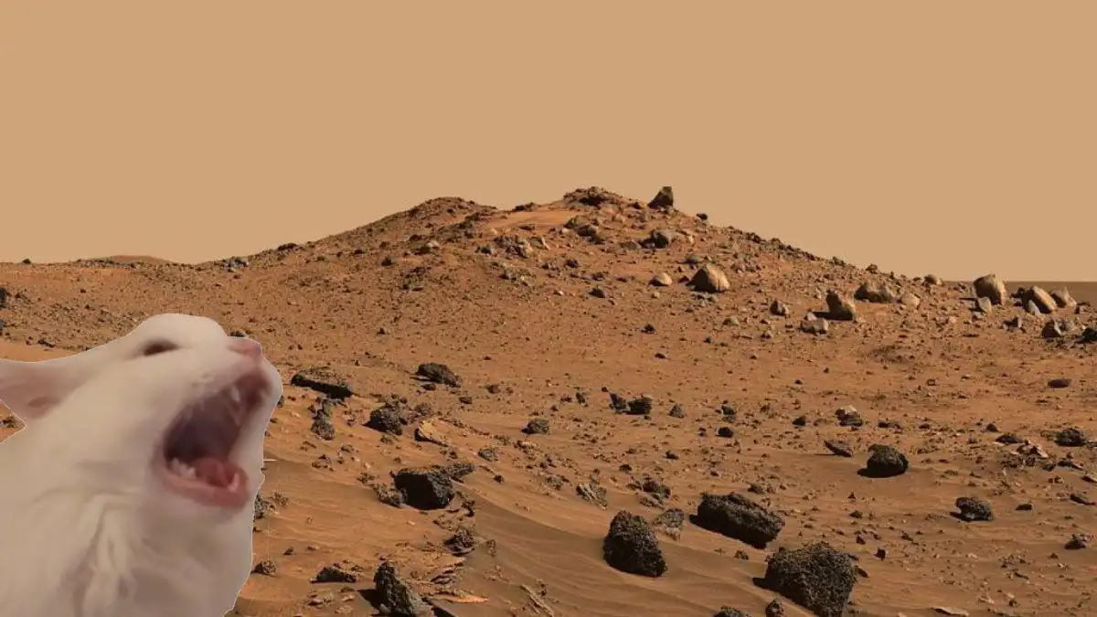 Тварини на Марсі: чи є вони і чи можуть бути?