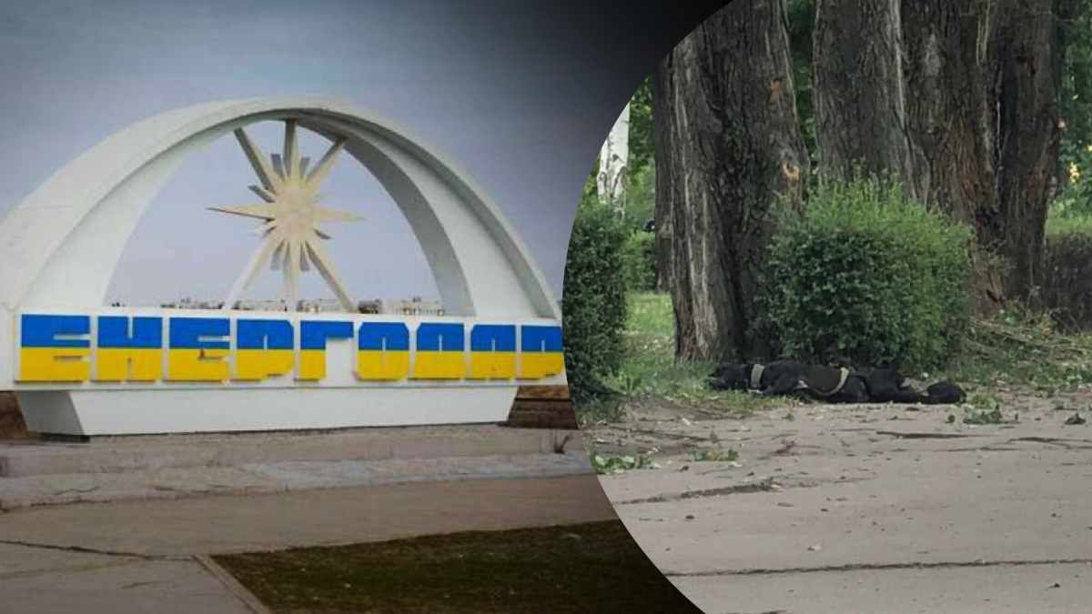Обстрелы Энергордара 14 августа 2022 года - погиб работник ЗАЭС - 24 Канал