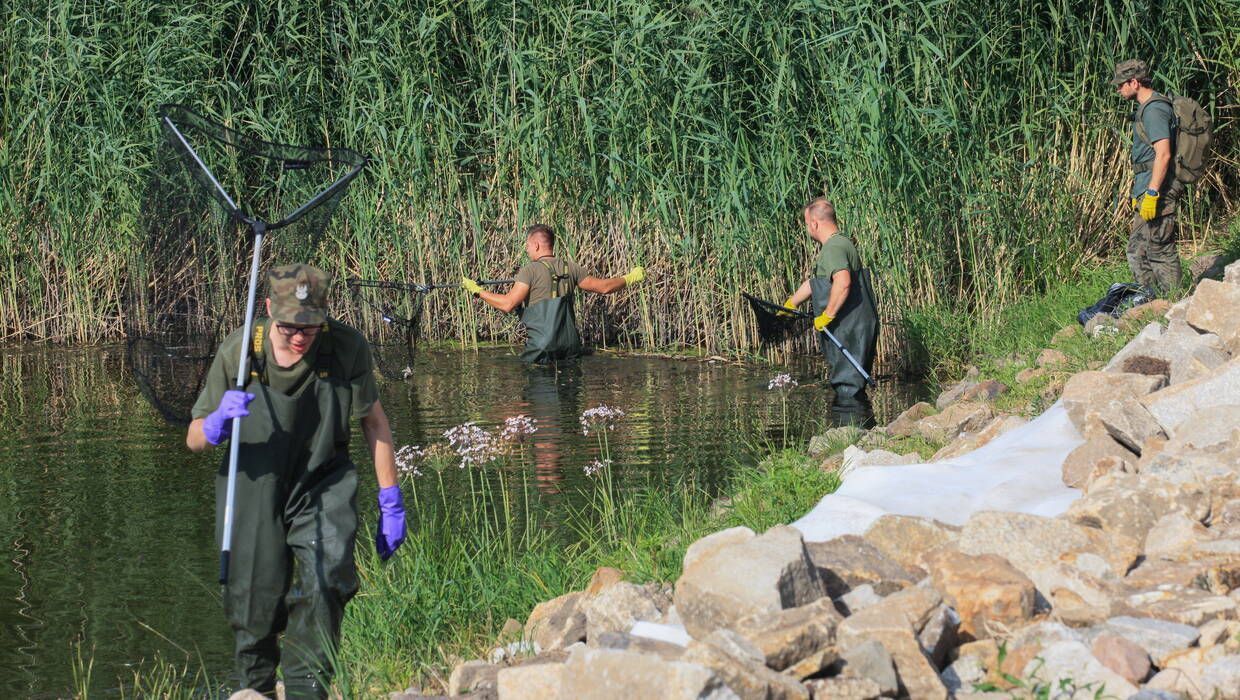 На польско-германской границе загадочно погибает рыба: власть привлекла военных