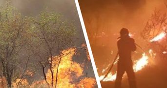 В Іспанії тисячі людей евакуювали через масштабні лісові пожежі