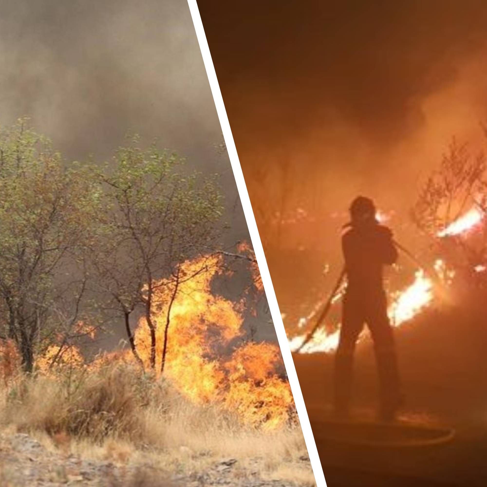 В Испании эвакуируют людей из-за лесных пожаров: что известно В Испании эвакуируют людей из-за лесных пожаров: что известно