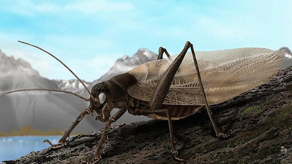 Ученые воспроизвели звуки насекомых, которых в последний раз видели 150 лет назад - Техно