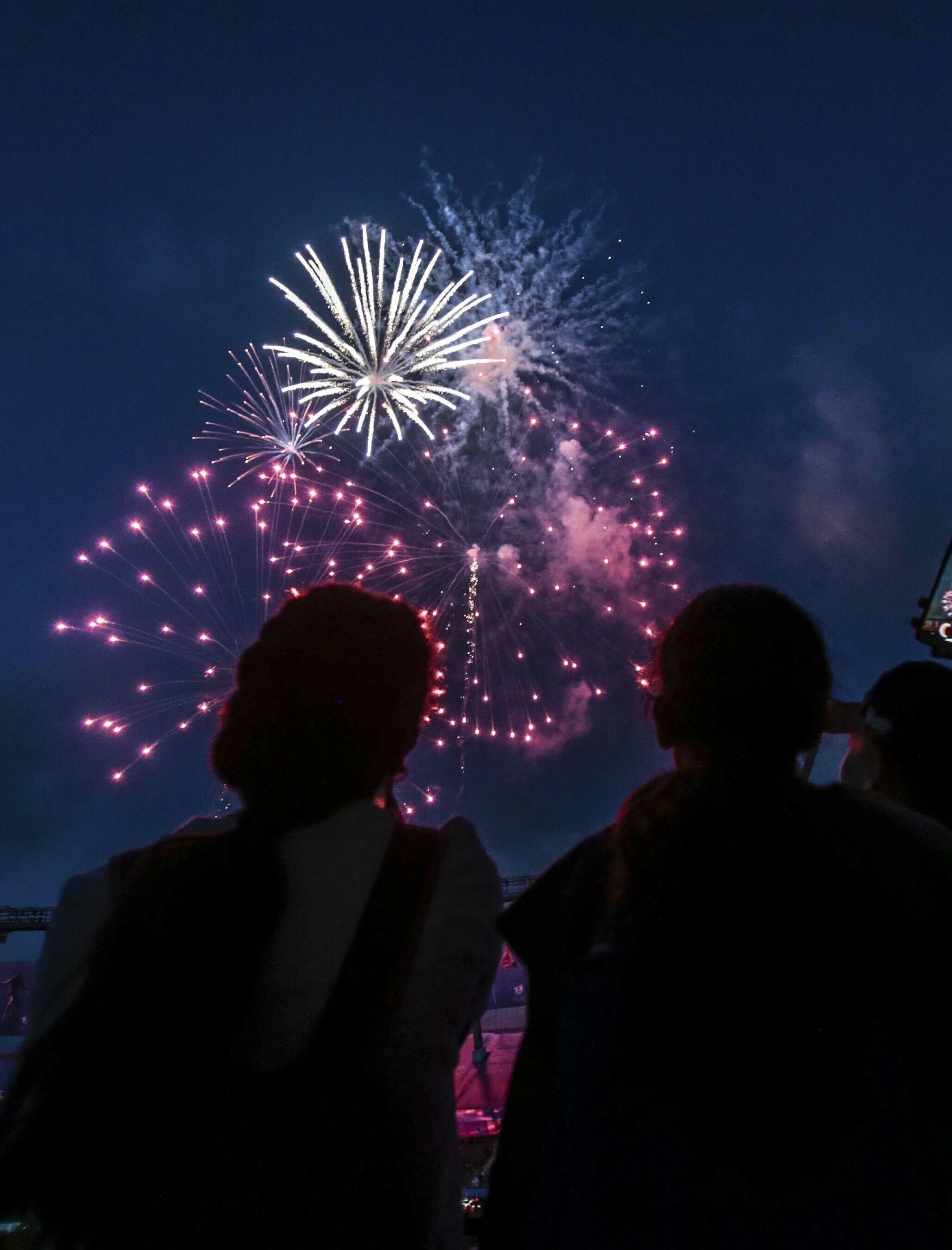В України заборонять феєрверки та салюти: що відомо В України заборонять феєрверки та салюти: що відомо