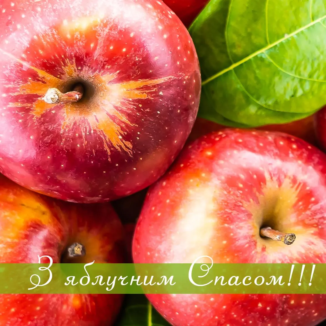 Картинки с Яблочным Спасом 2022 Картинки с Яблочным Спасом 2022