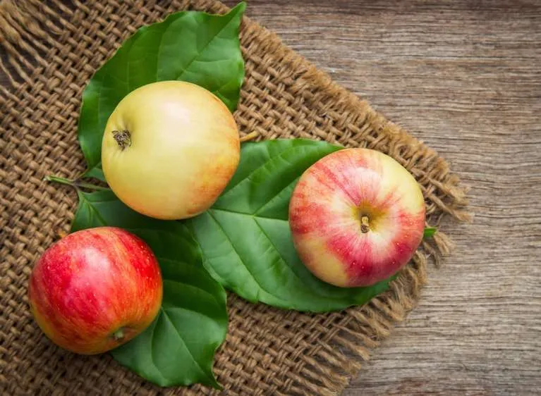 Яблочный Спас 2022 Яблочный Спас 2022