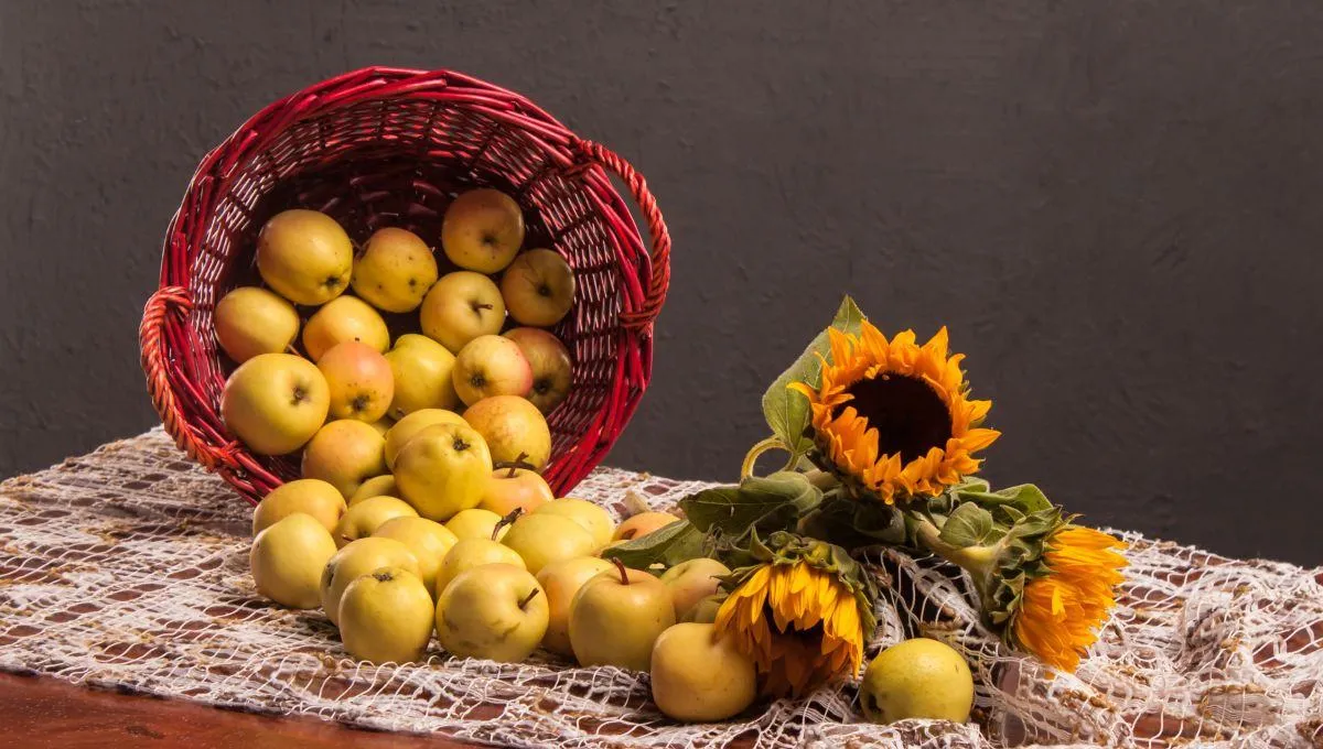 Яблучний Спас 2022 Яблучний Спас 2022