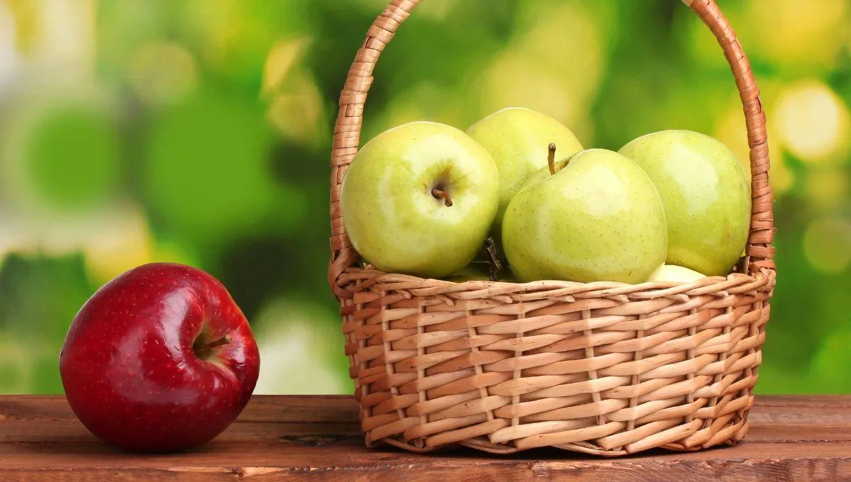 Яблочный Спас 2022 Яблочный Спас 2022