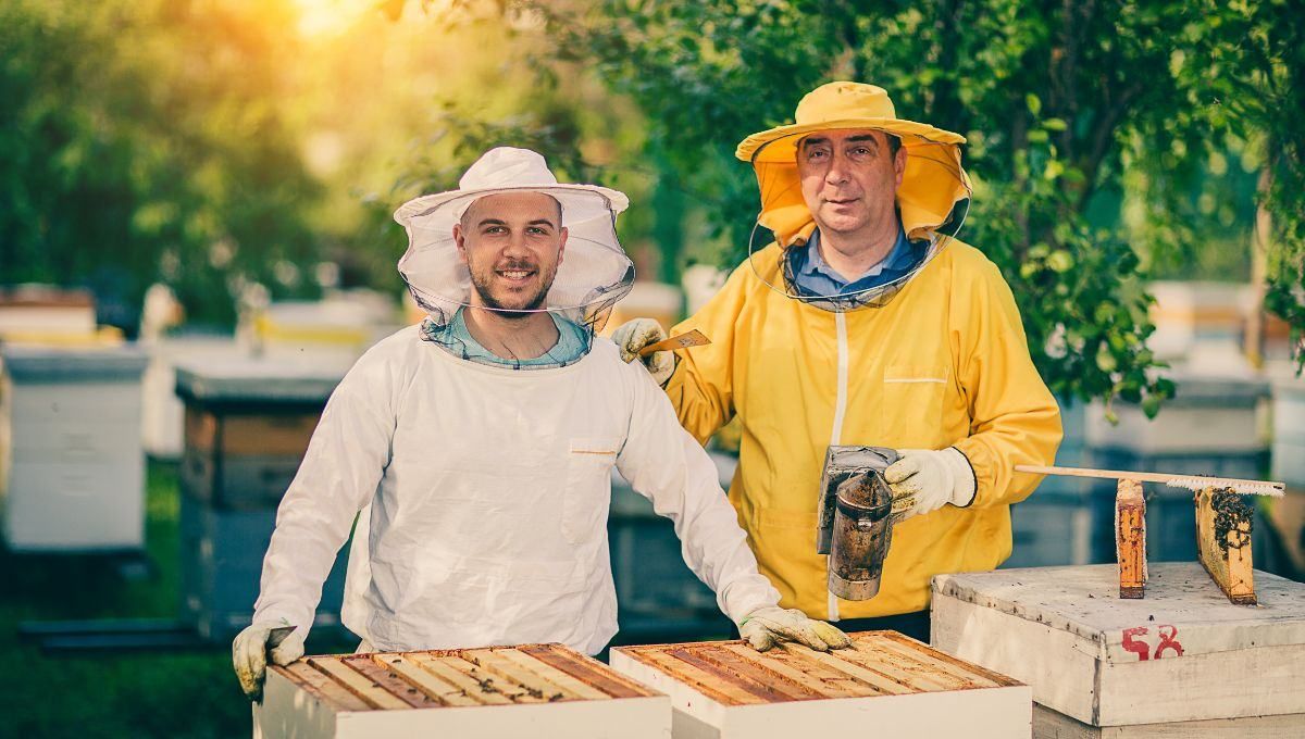 День пасічника в Україні - картинки привітання зі святом