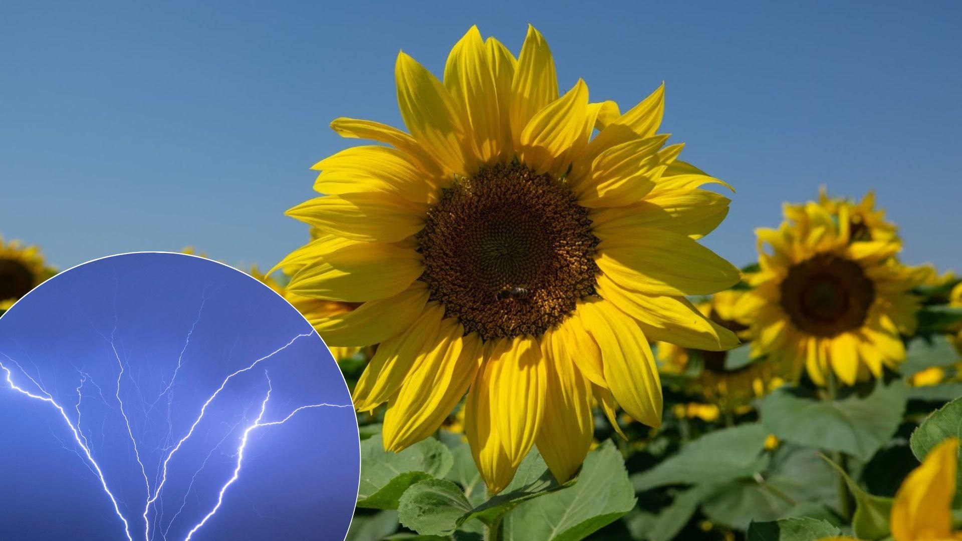 Прогноз погоди в Україні на вихідні 20 - 21 серпня - що кажуть синоптики Прогноз погоди в Україні на вихідні 20 - 21 серпня - що кажуть синоптики