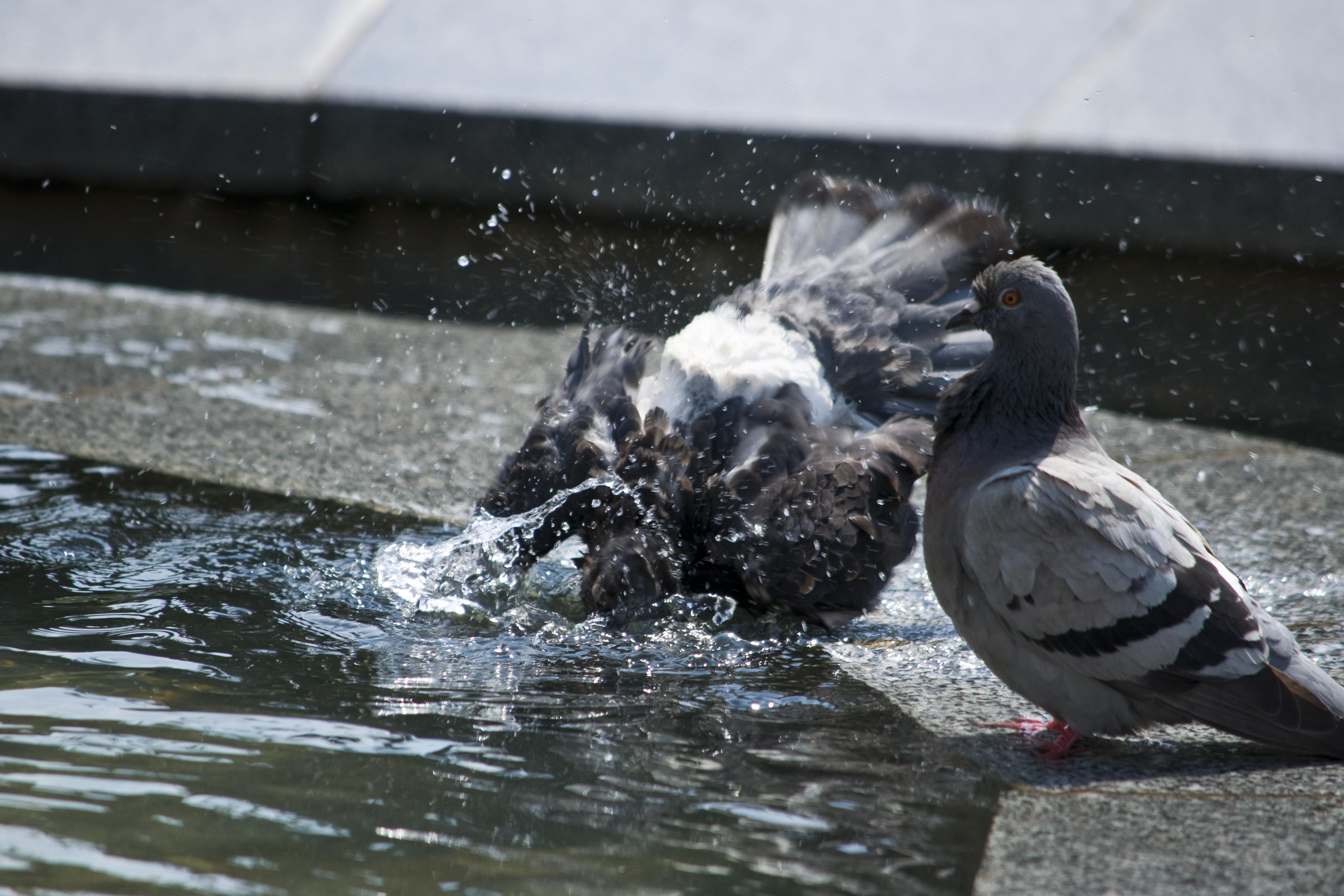Погода в Україні 22 – 28 серпня - синоптик попередив про суху й спекотну погоду Погода в Україні 22 – 28 серпня - синоптик попередив про суху й спекотну погоду